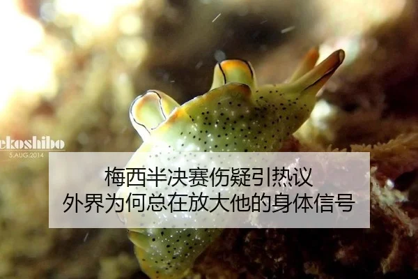 梅西半决赛伤疑引热议 外界为何总在放大他的身体信号